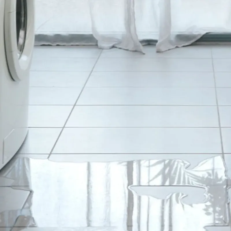 Appliance Leak Cleanup in Talbot County, GA