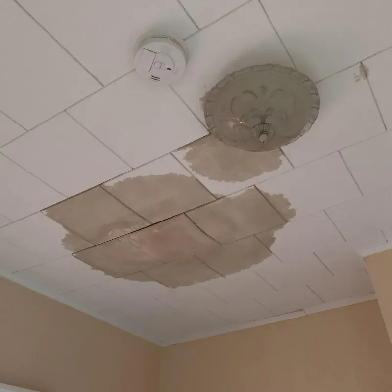Ceiling Water Damage Repair in Talbot County, GA