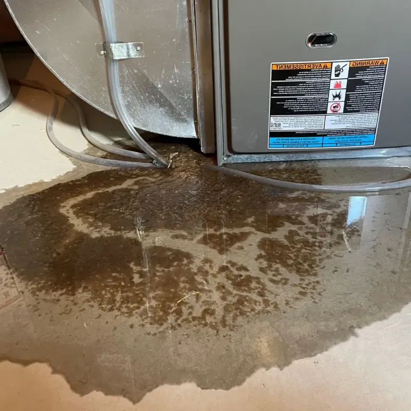 Pipe Burst and Leak Restoration in Talbot County, GA