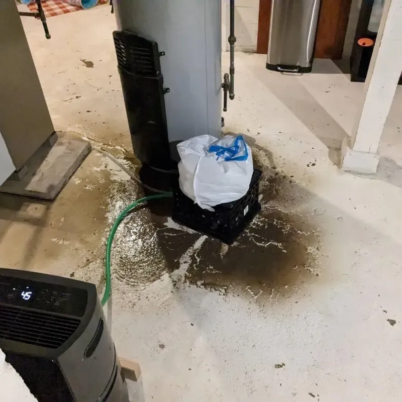 Sewage Backup Cleanup Service in Talbot County, GA